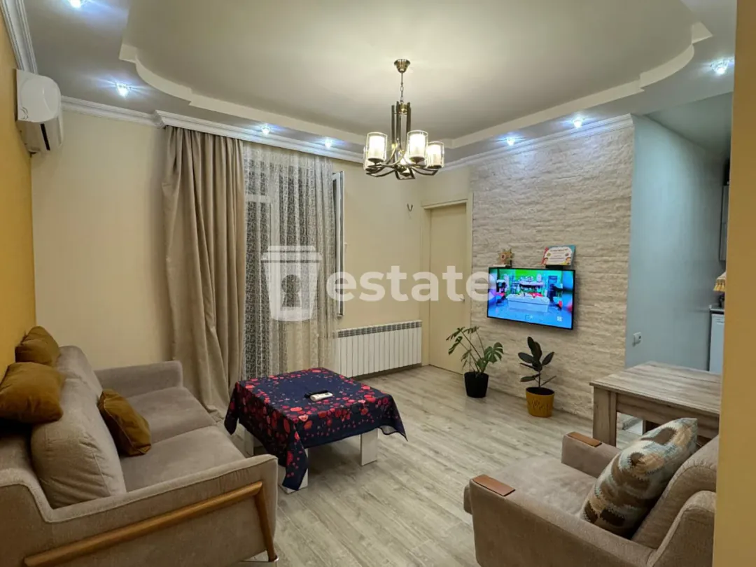 Comfortable 1+1 apartment for rent near Grand Mall — photo 1