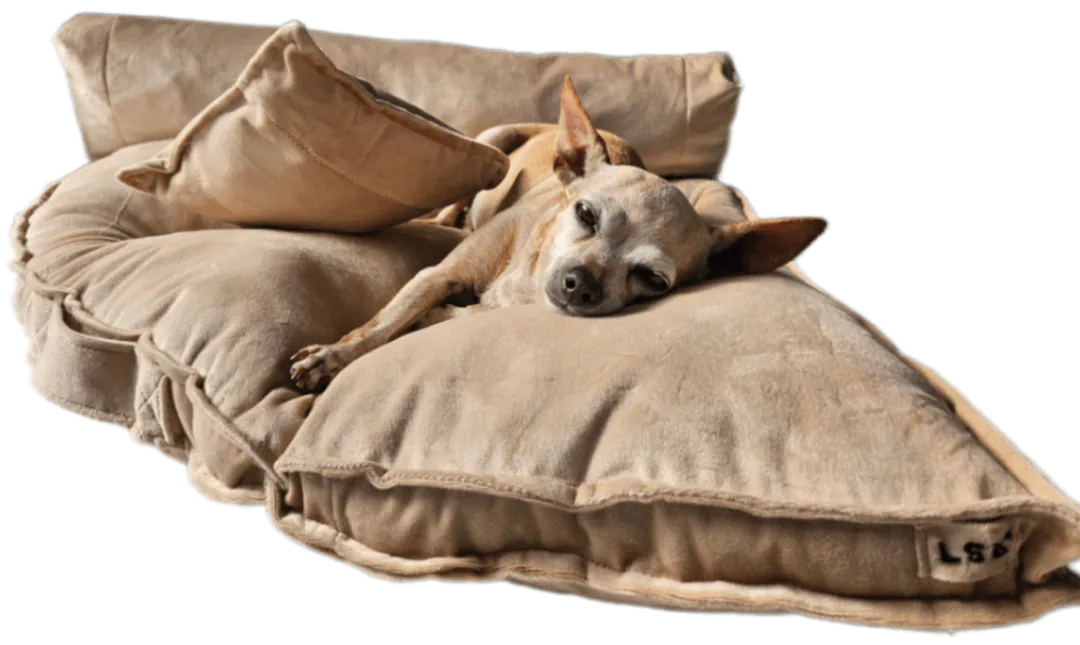 Dog bed label — photo 9