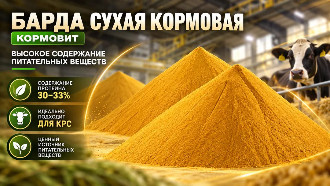 Dry wheat spent grains — photo 1