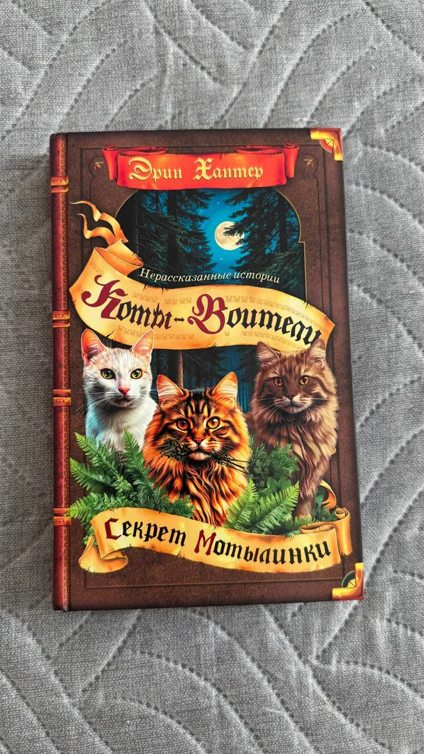 Book "Secret of Motylinka" — photo 1