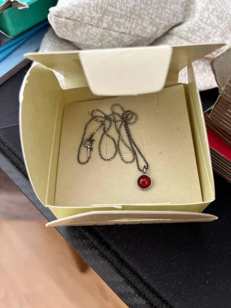 Chain with pendant and red stone — photo 1