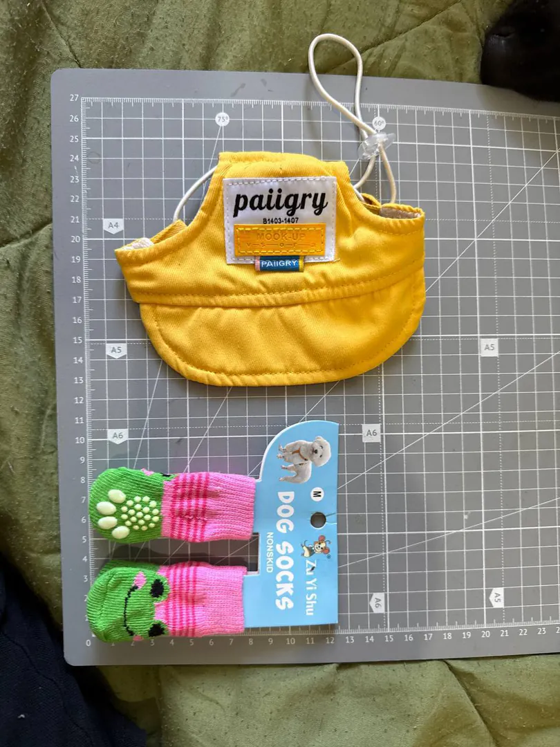 Hat and Socks Set for Pets — photo 1