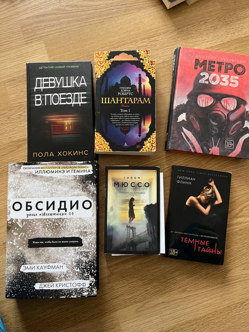Книга Девушка в поезде — фото 1