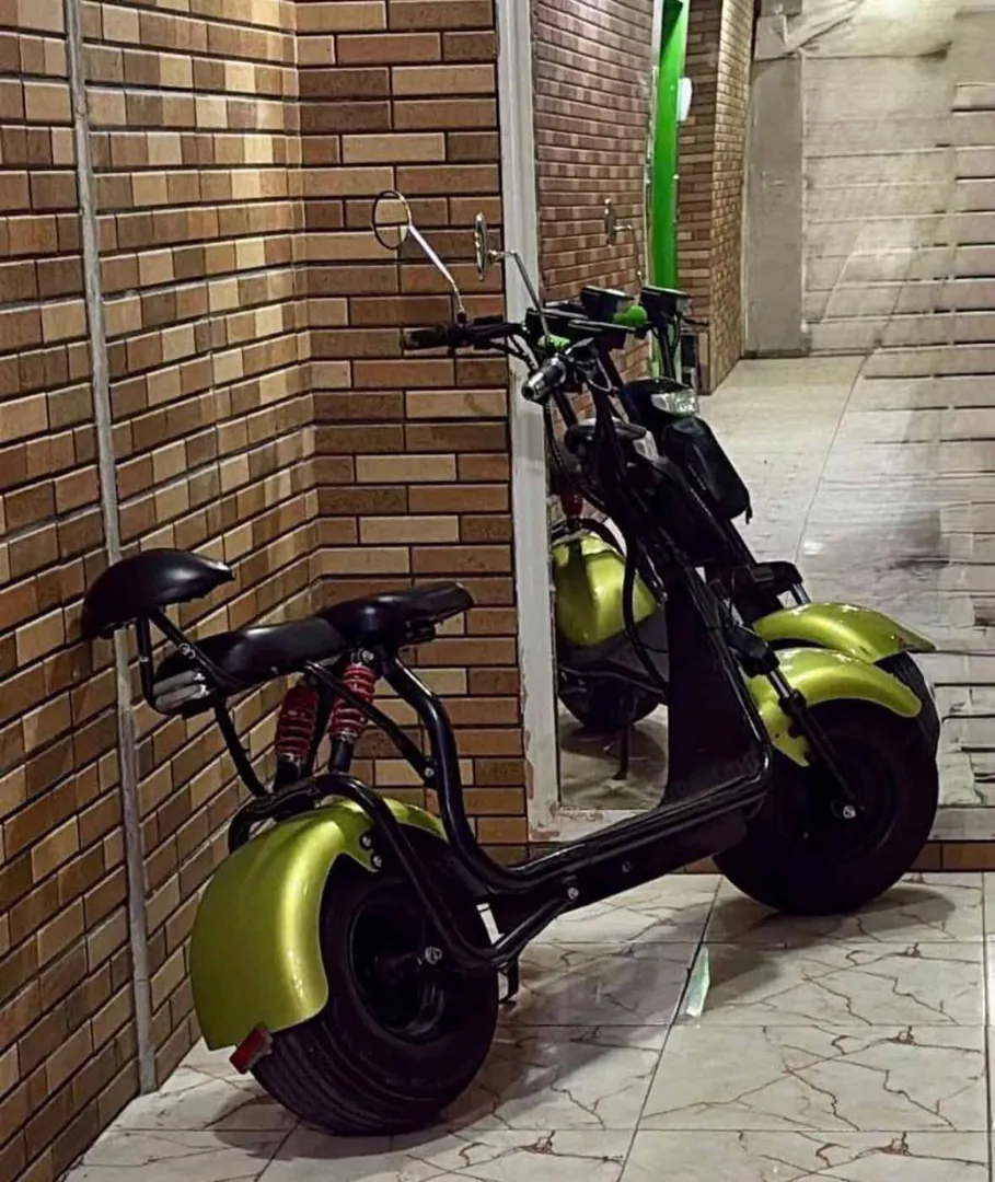 Electric Scooter — photo 1