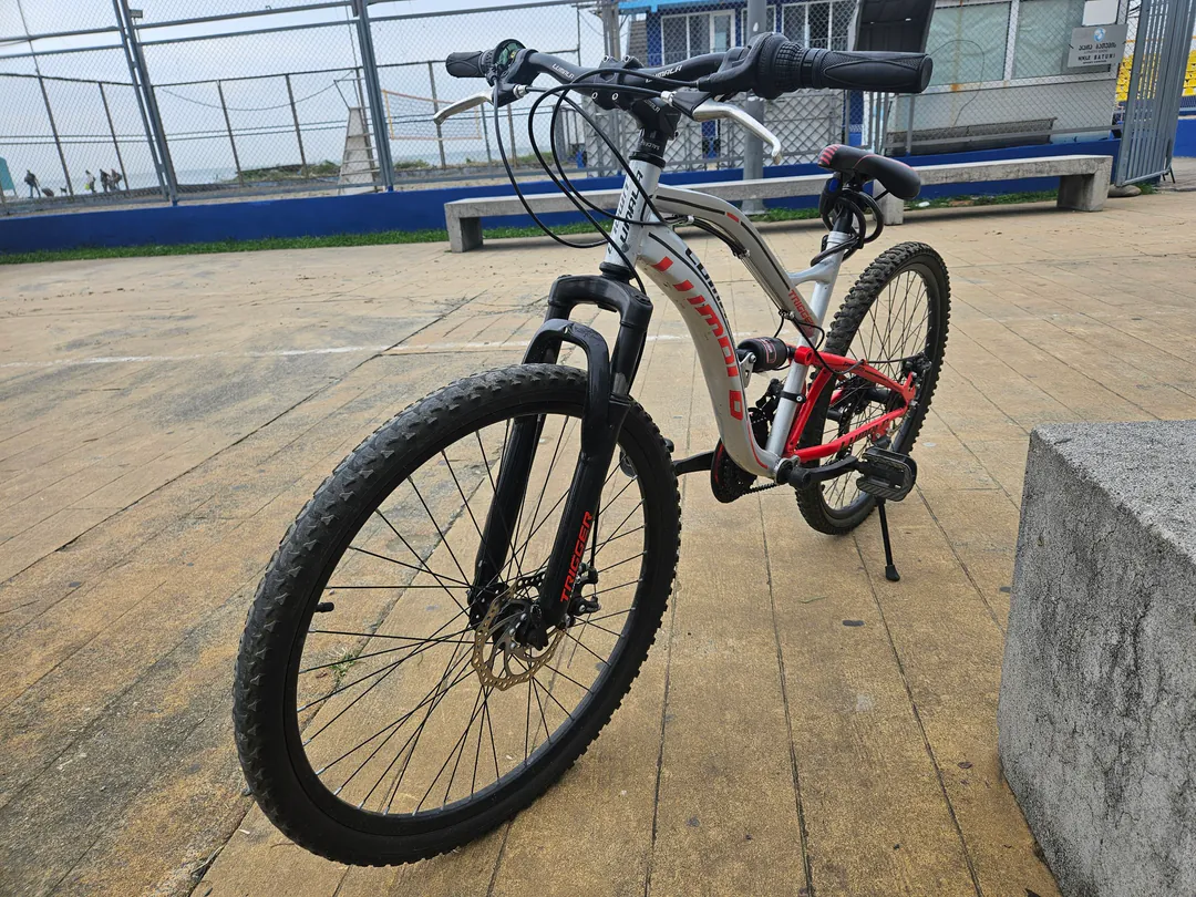 Adult bicycle — photo 1