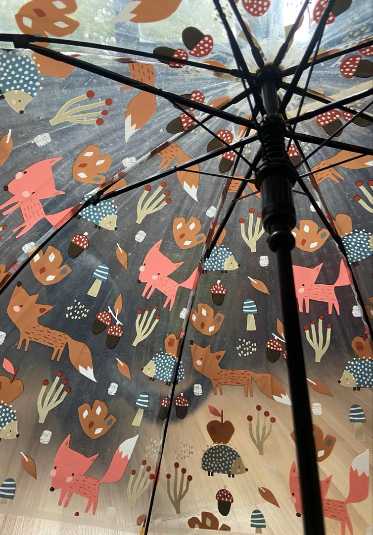Cane umbrella — photo 1
