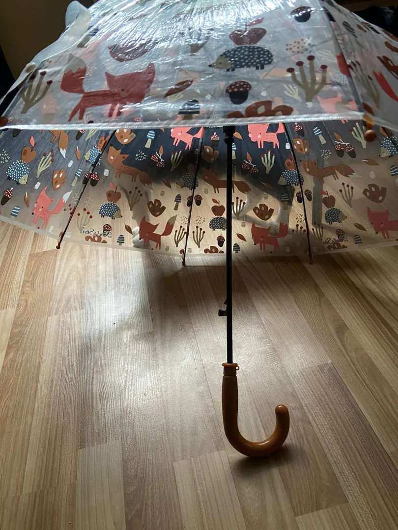 Cane umbrella — photo 2