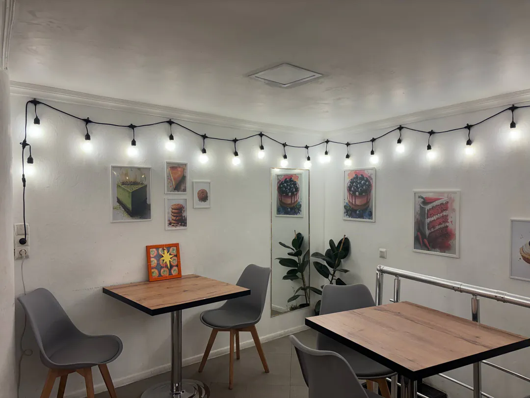 Garland 10 meters — photo 1