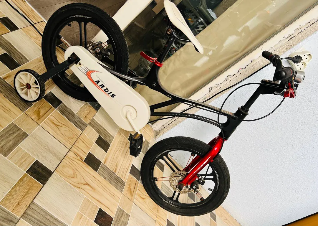 Bicycle — photo 1