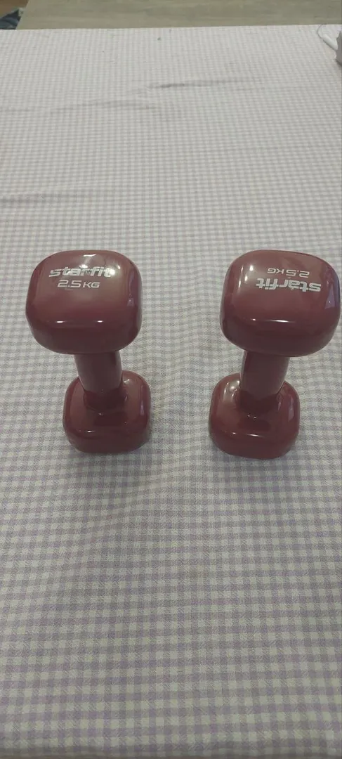 Dumbbells 2,5 kg — photo 1