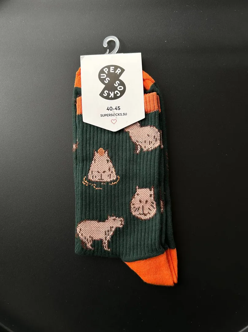 Socks with capybaras — photo 1