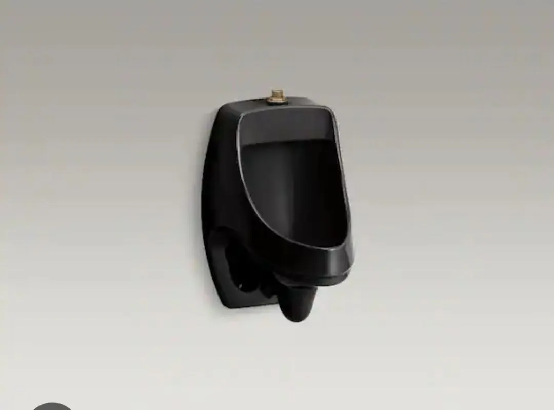 Kohler Urinal — photo 1