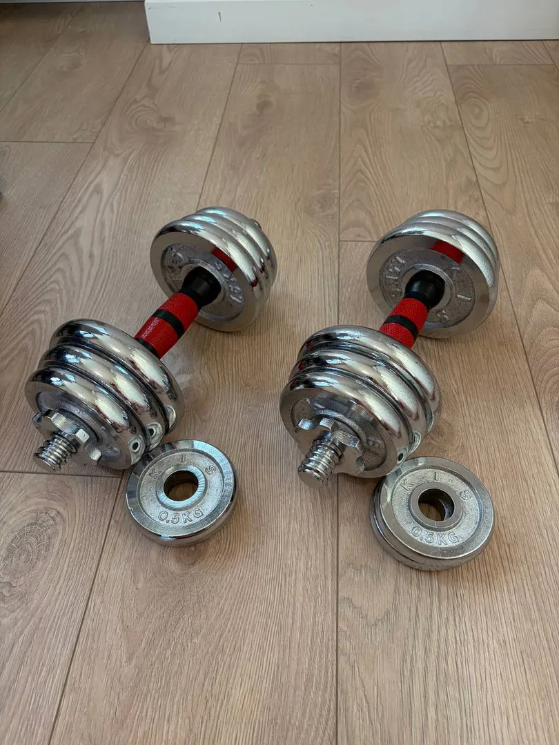 Adjustable dumbbells Legacy 10 kg each — photo 1