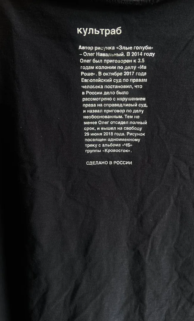 Kulturb "Angry Pigeons" T-shirt — photo 5