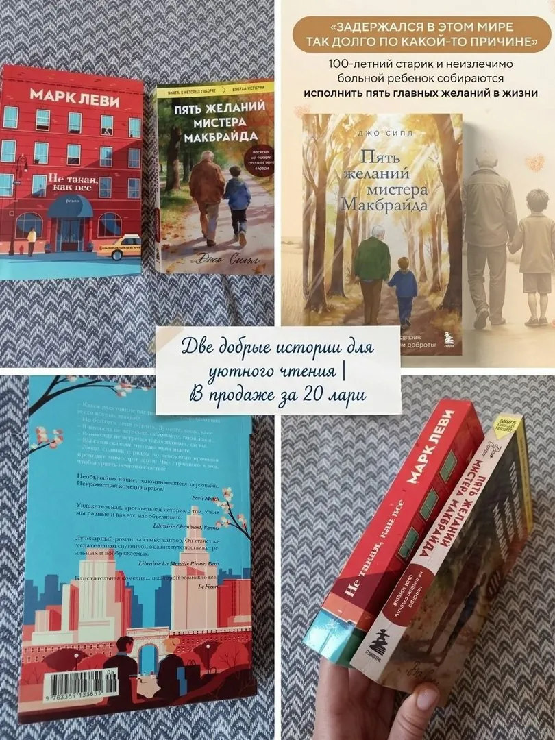 Books by Mark Levy and Joe Siple — photo 1