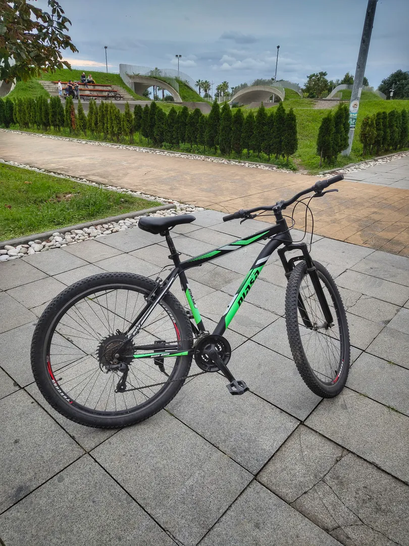 Diasa 29" Mountain Bike — photo 1