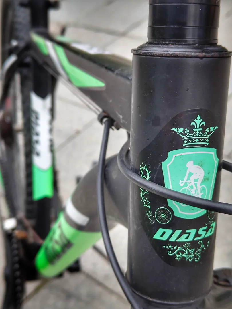 Diasa 29" Mountain Bike — photo 2
