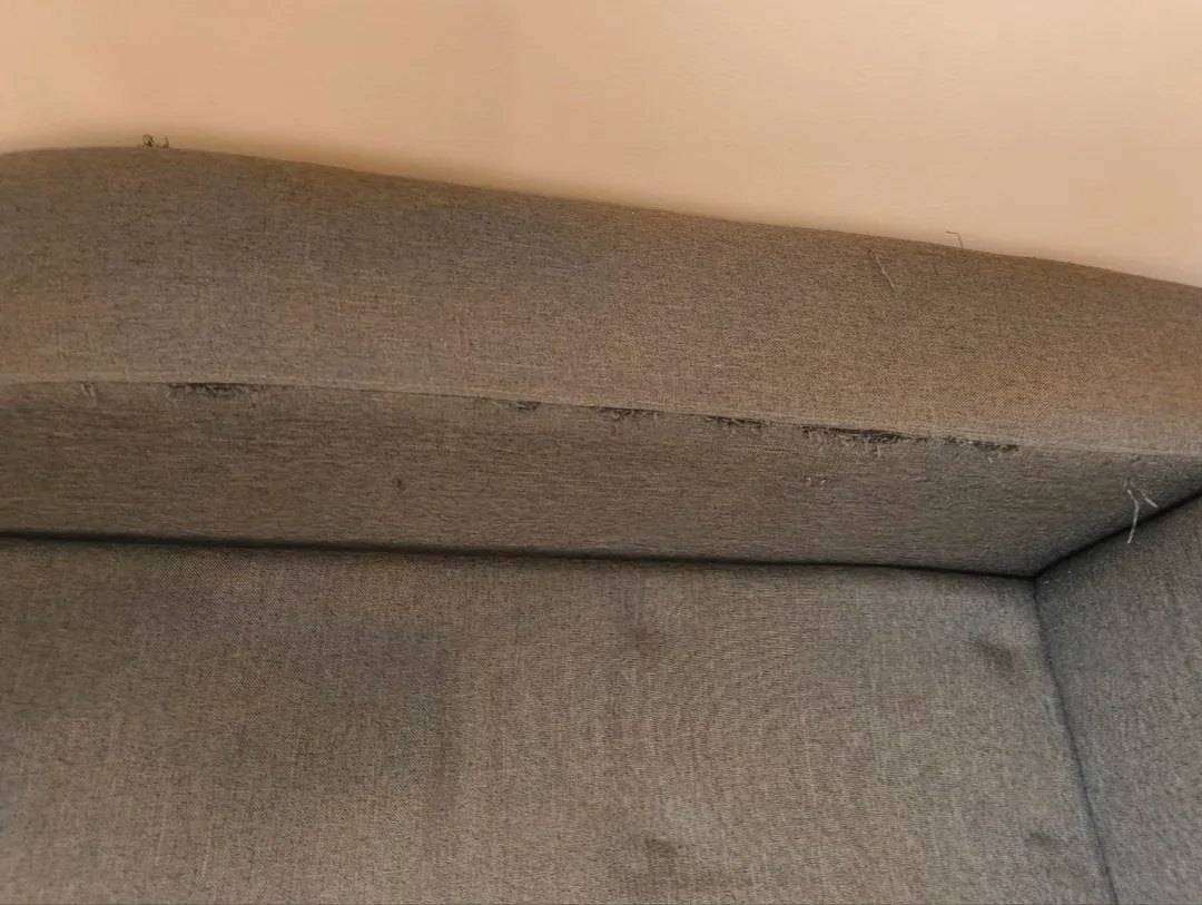 Fold-out sofa — photo 2