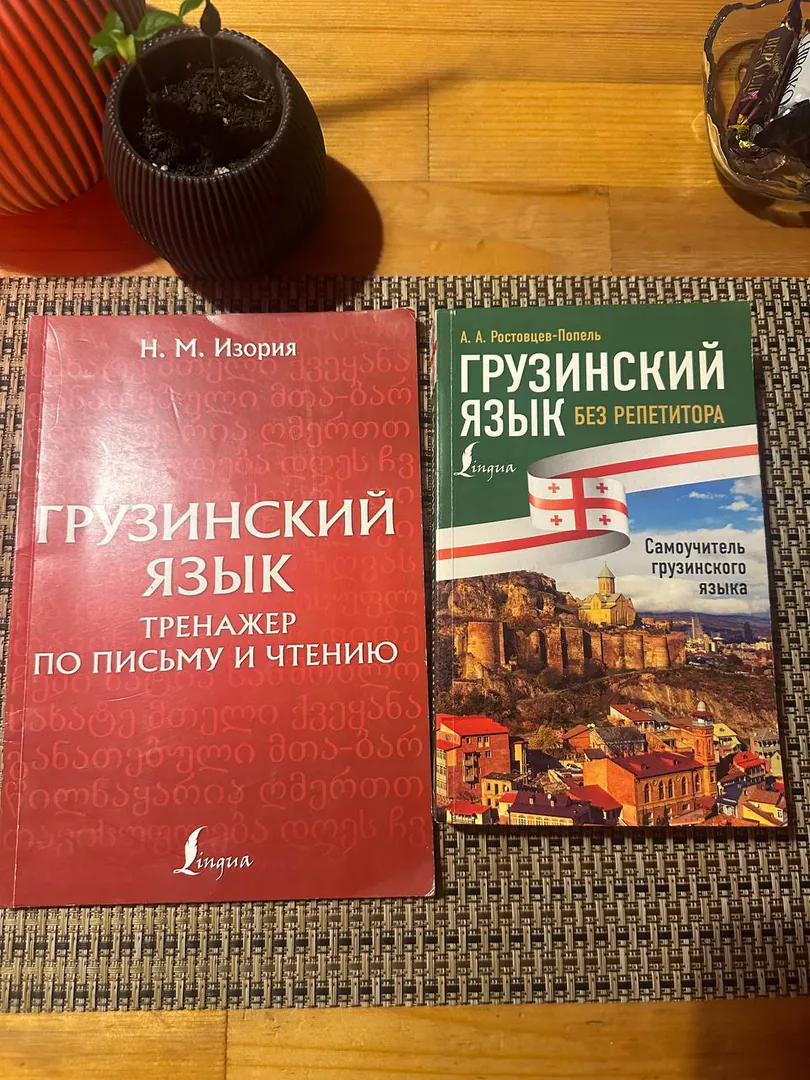 Georgian language self-study guide and workbook — photo 1