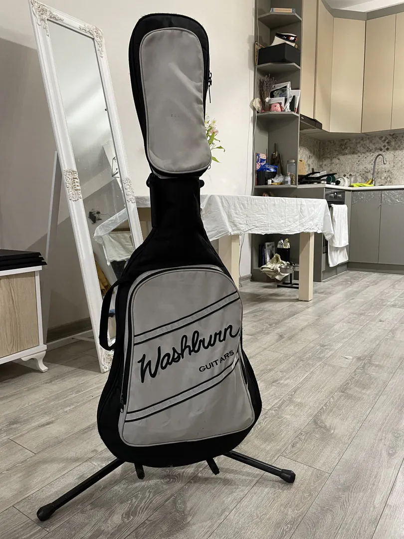 Electric Guitar Washburn Pro X10 — photo 4