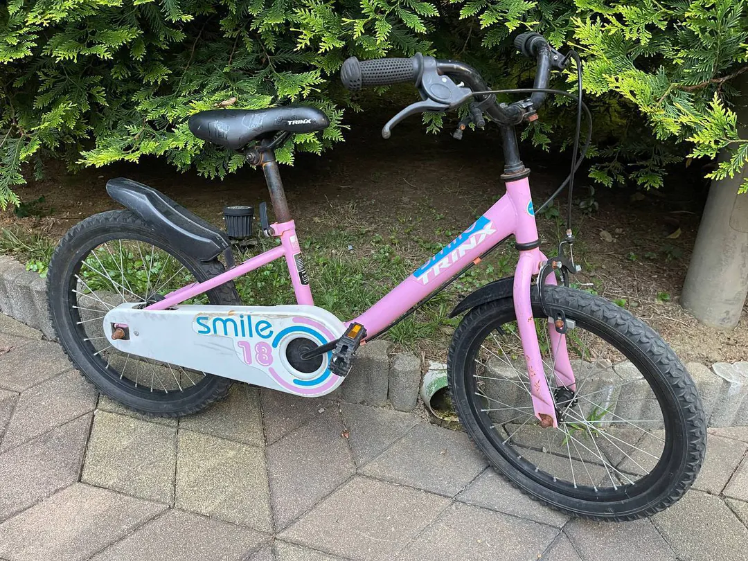 Children's bicycle TRINX Smile 18 — photo 1