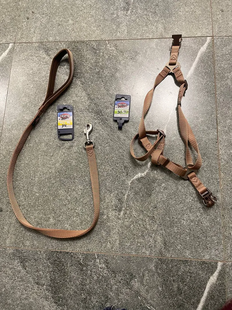 Leash and harness ZooCity size M — photo 1