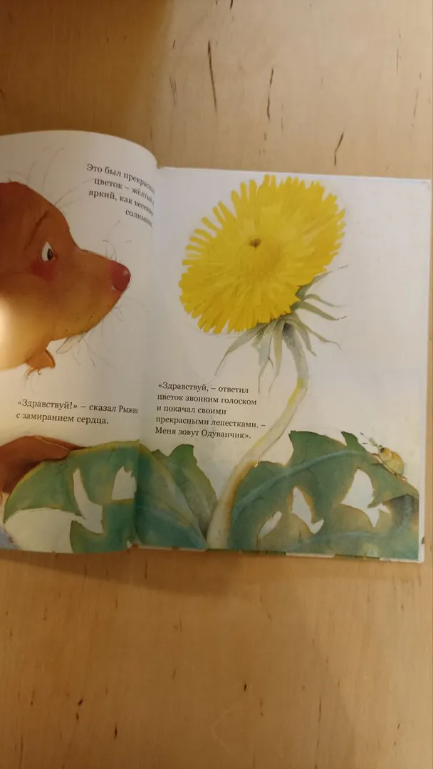 Book 'Everything Will Be Fine!' Kneist — photo 2