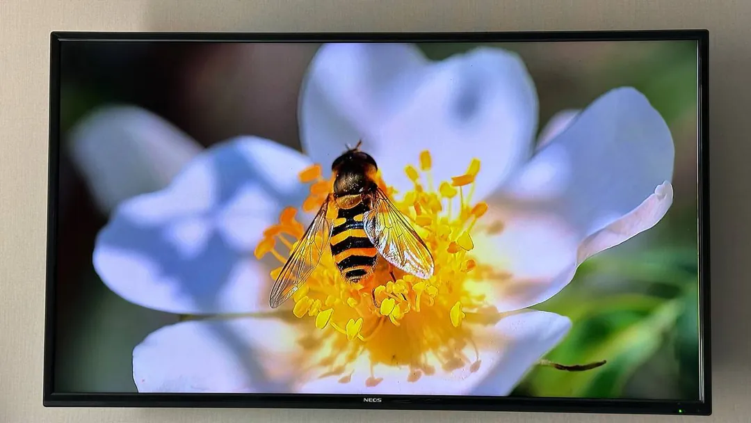 NEOS 40" Smart TV Television — photo 5