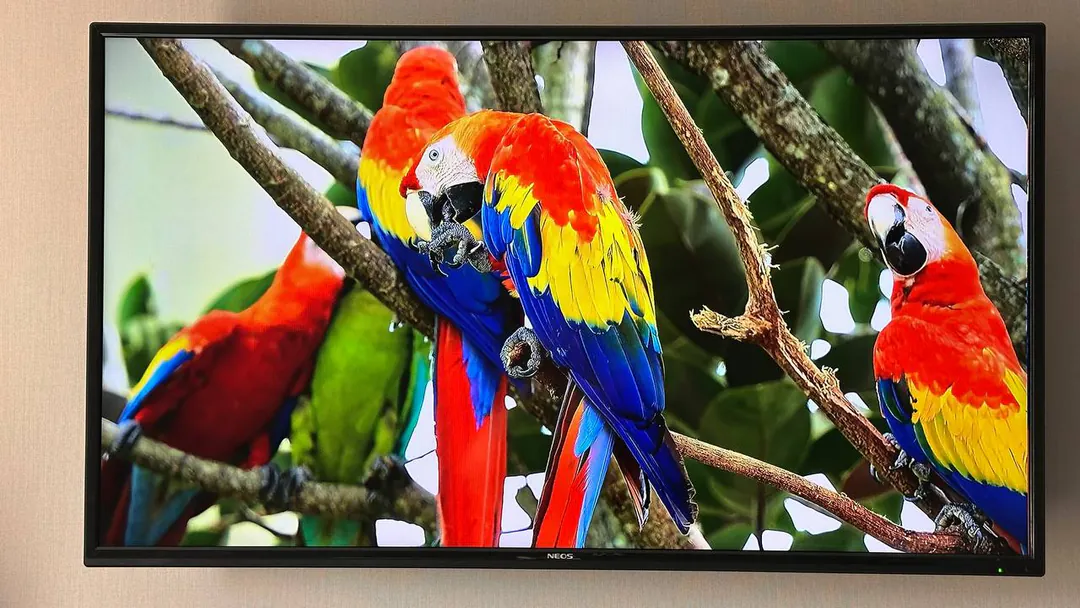 NEOS 40" Smart TV Television — photo 6