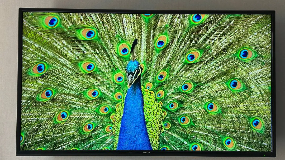 NEOS 40" Smart TV Television — photo 7