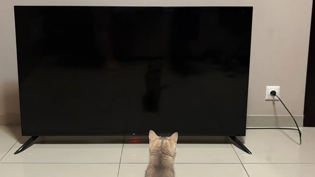 ტელევიზორი UD 55U6210 55" 4K Smart TV — ფოტო 1