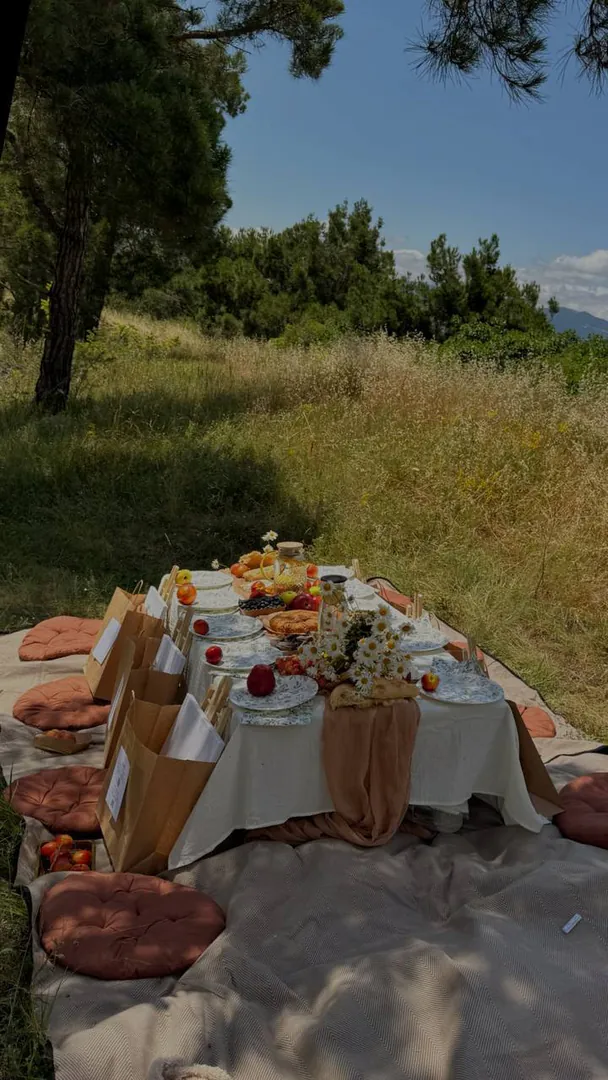 Picnic set with table, cushions and blankets — photo 1
