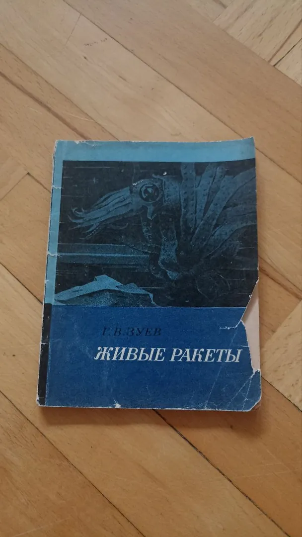 Book Living Rockets — photo 1