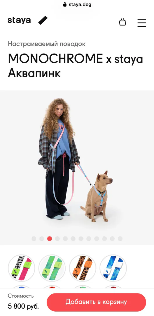 Harness and leash Staya x Monochrome — photo 4