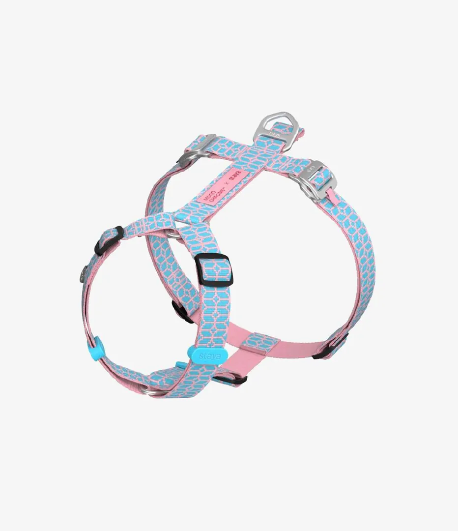 Harness and leash Staya x Monochrome — photo 8