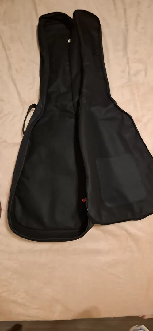 Guitar with case — photo 1