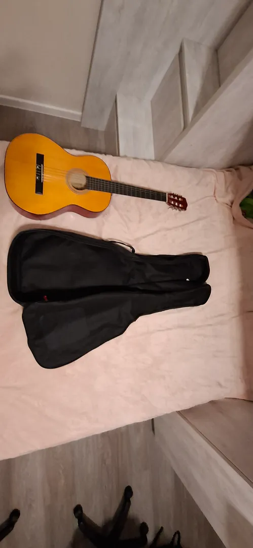 Guitar with case — photo 2