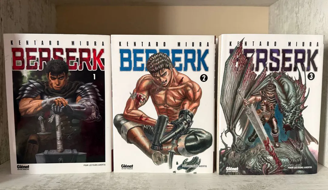 Berserk manga in French — photo 1
