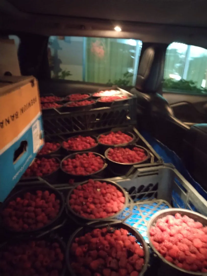 Raspberry in a basket — photo 1