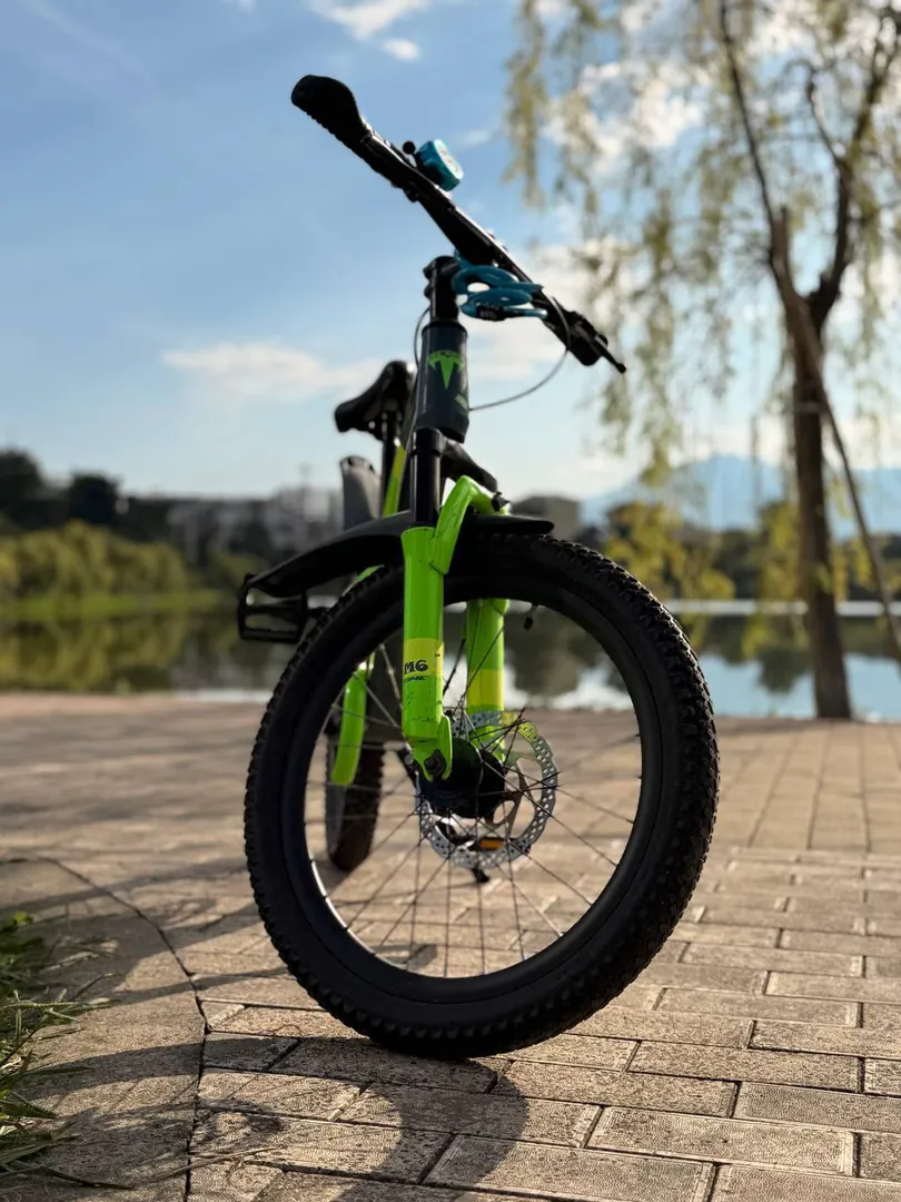 ბავშვების ველსიპედი TIME Kids Bike 20" — ფოტო 3