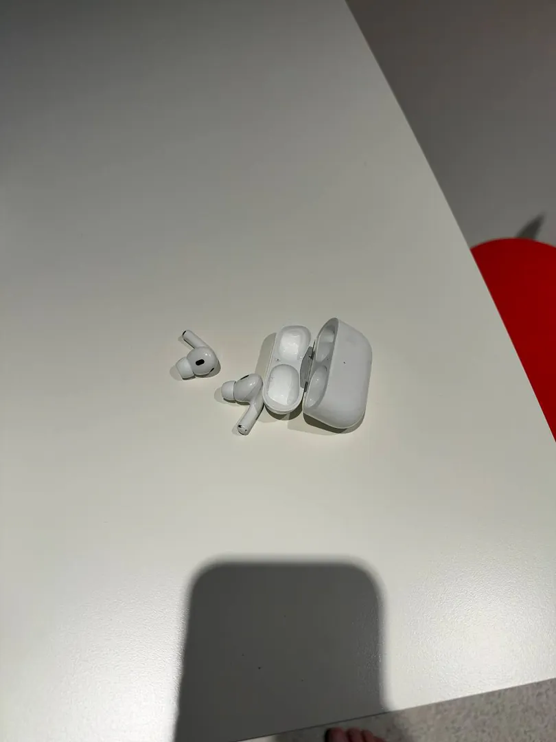AirPods Pro with cases and ear tips — photo 1