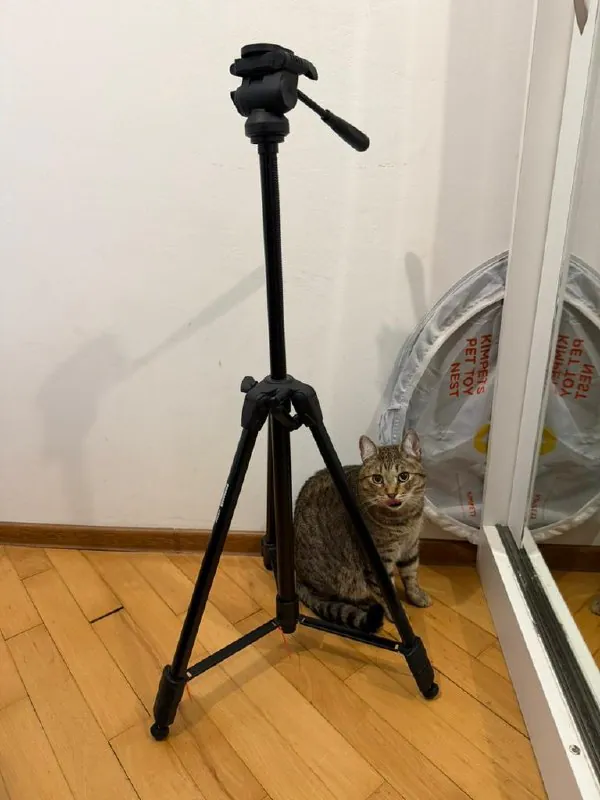 სამფეხა Promage TR395 — ფოტო 2