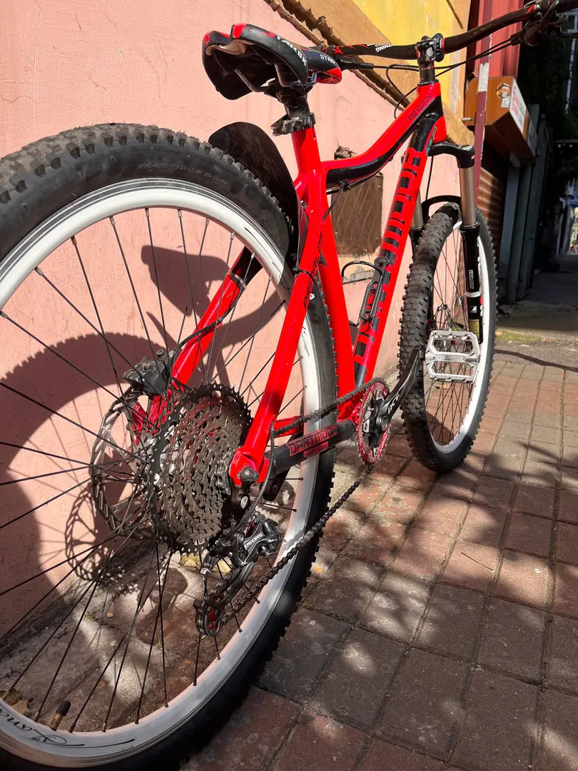 Bicycle Dartmoor Primal 29 2017 — photo 2
