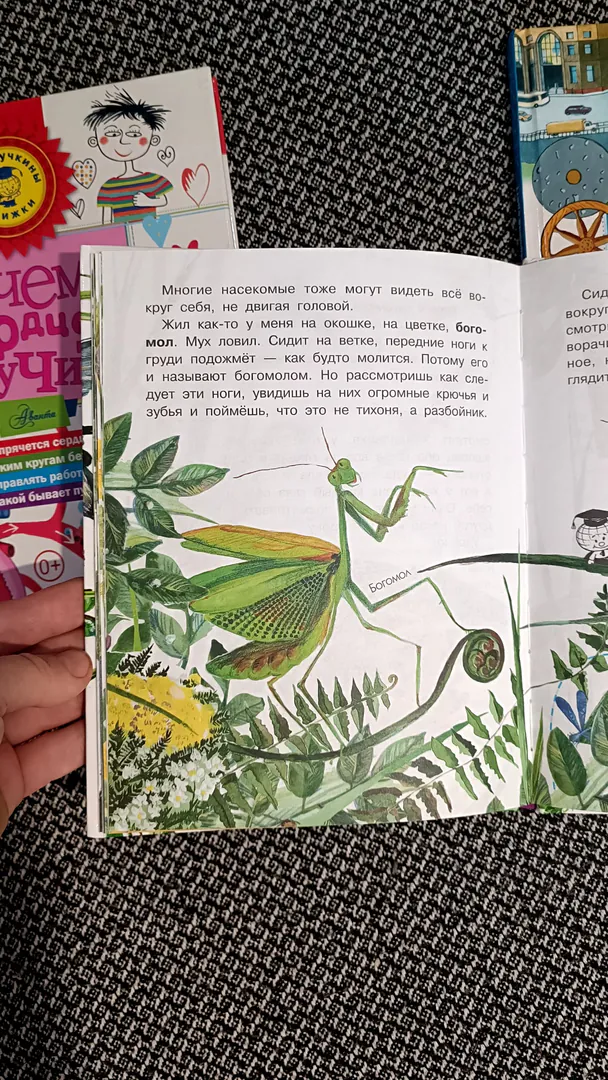 Children's books hardcover — photo 5