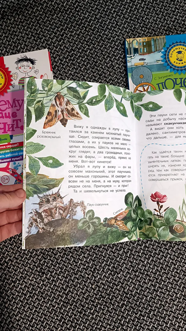 Children's books hardcover — photo 6