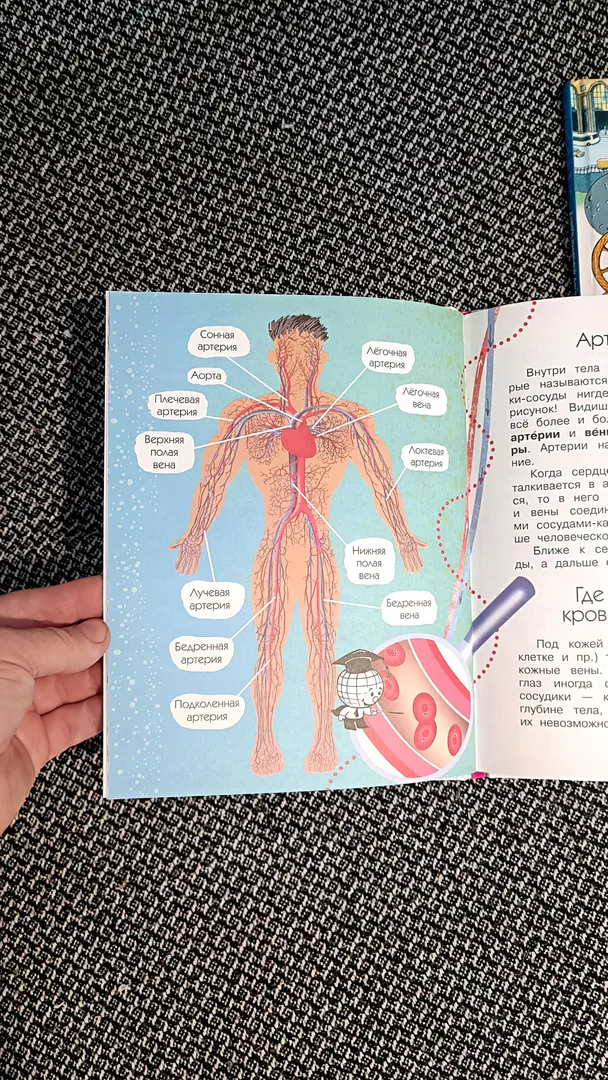 Children's books hardcover — photo 9