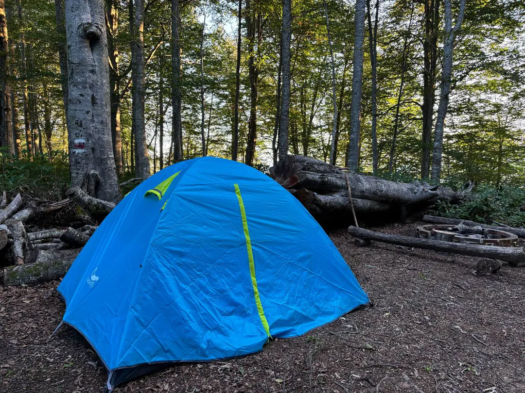 Naturehike P-series 3-person tent — photo 1