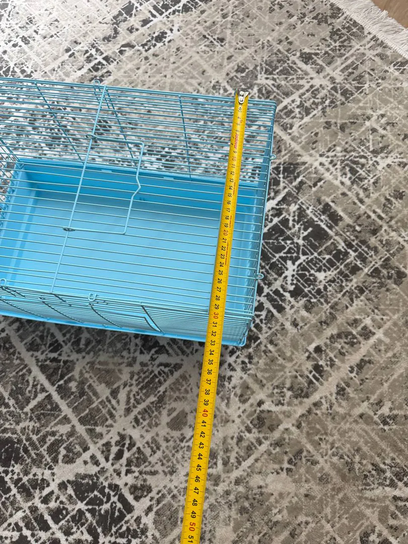 Walk in Vake Park or Mziumri Park — photo 3