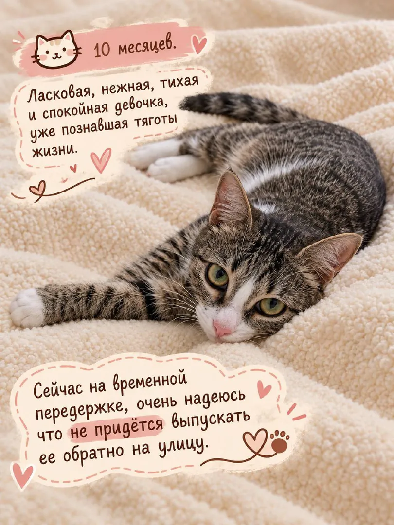 მცირე კოტკა — ფოტო 4