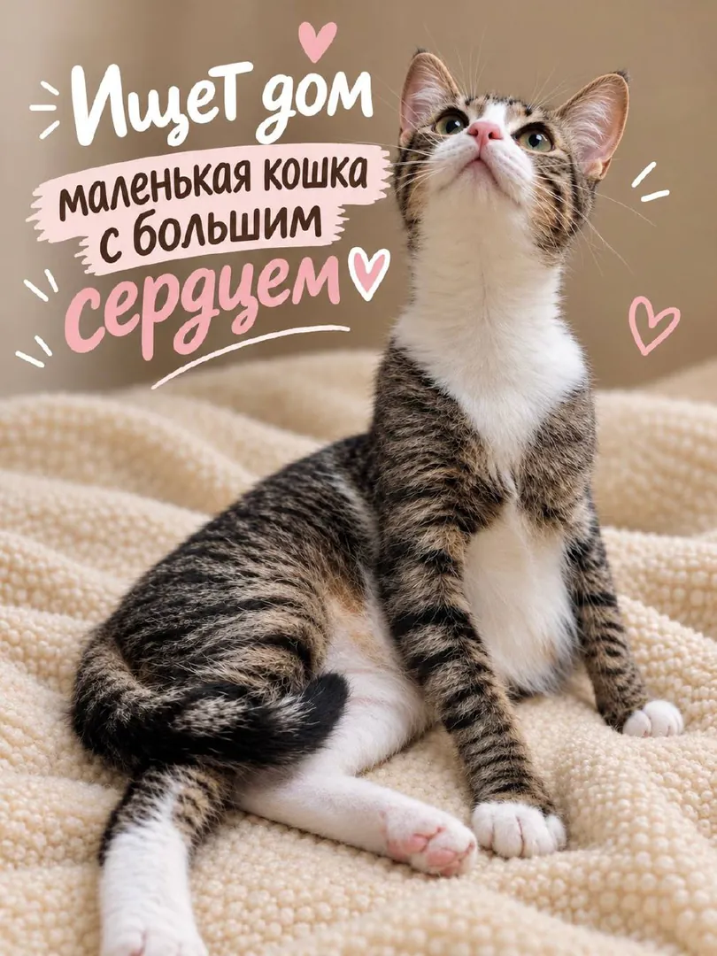 მცირე კოტკა — ფოტო 5